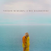 Andrew McMahon In The Wilderness - Cecilia And The Satellite